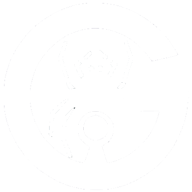 Logo de ingegus.dev - Letra G estilizada con forma de araña